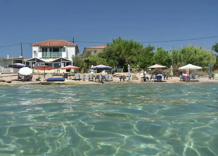 Kassimiotis Agios Andreas (Messenia)