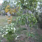 Kassimiotis *