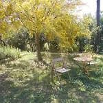 Kassimiotis Agios Andreas (Messenia)