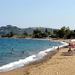 Kassimiotis Agios Andreas (Messenia)