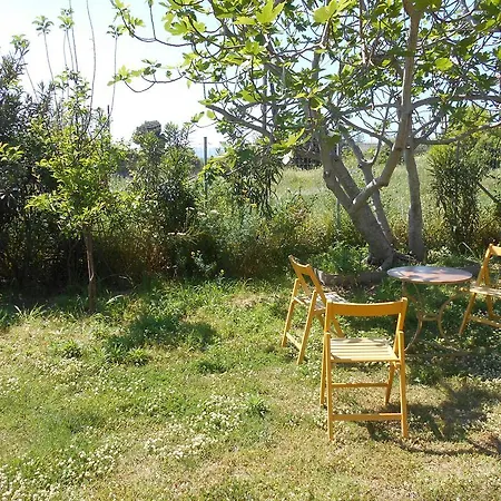 Aparthotel Kassimiotis Agios Andreas (Messenia)