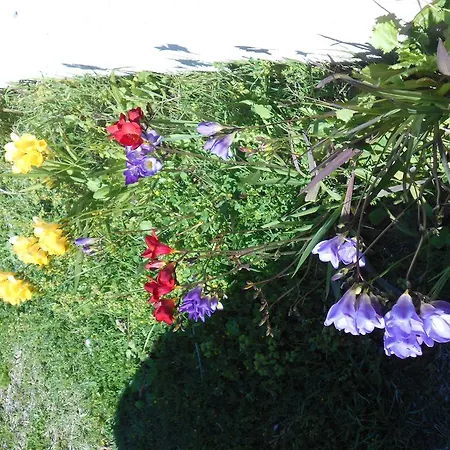 Kassimiotis * Agios Andreas (Messenia)