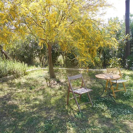 Kassimiotis Agios Andreas (Messenia)