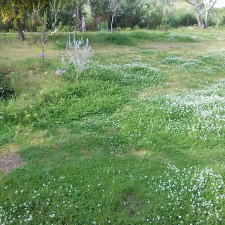 Aparthotel Kassimiotis *