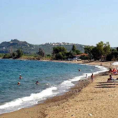 Kassimiotis Agios Andreas (Messenia)