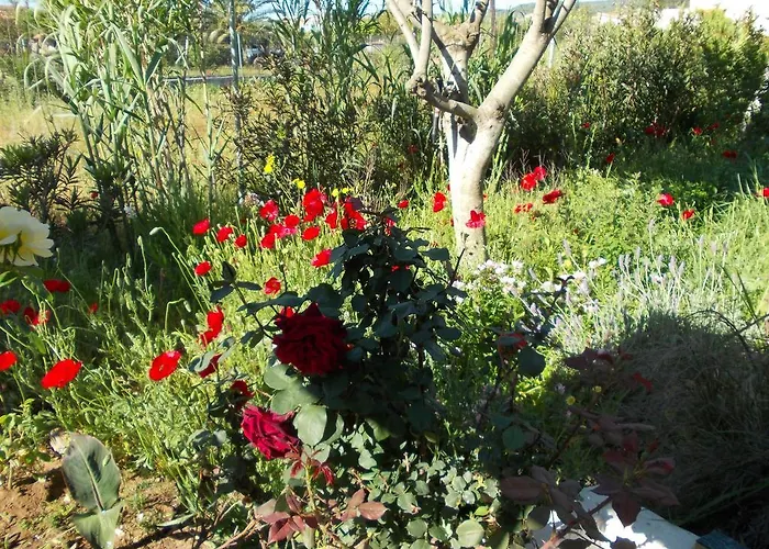 Apartmanhotel Kassimiotis