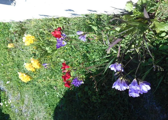 Kassimiotis * Ájosz Andréasz