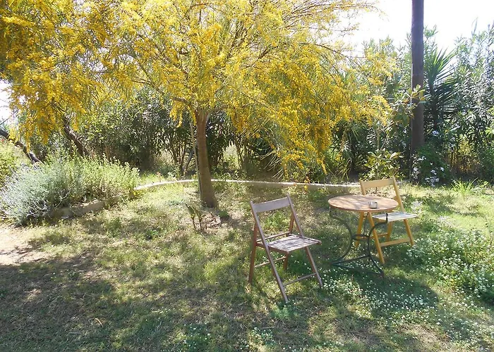 Kassimiotis Ájosz Andréasz