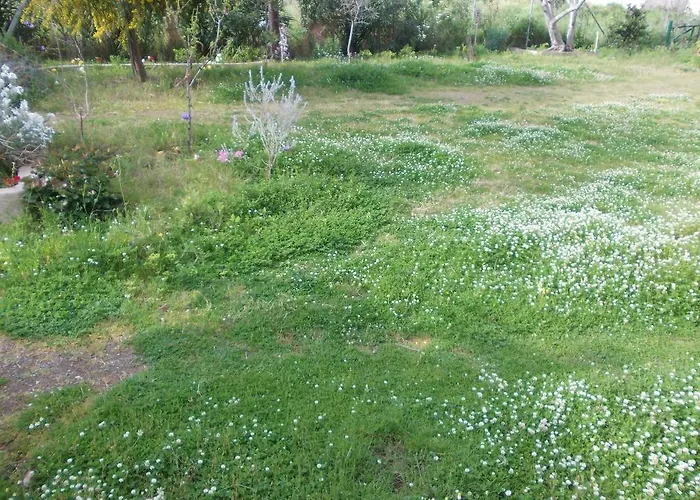 Apartmanhotel Kassimiotis *